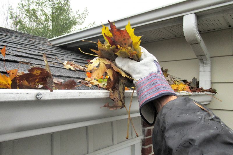 Gutter Cleaning in Baltimore, MD