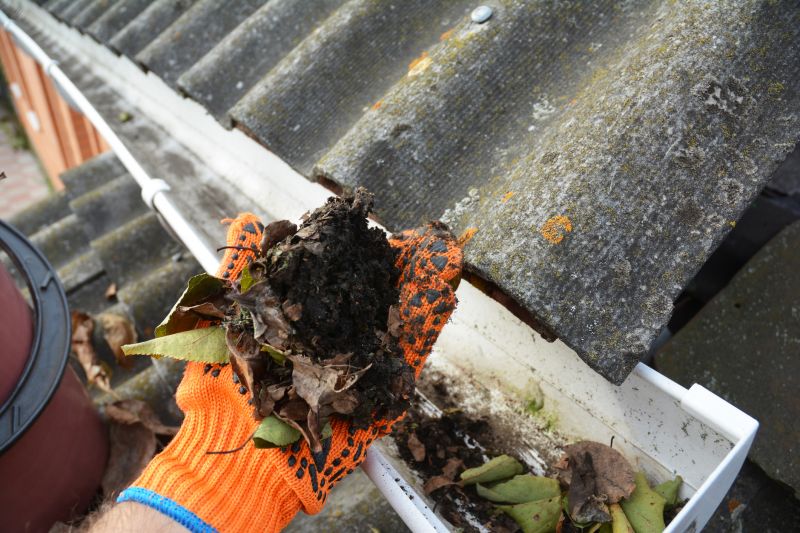 Roof Gutter Cleaning in Long Island, NY